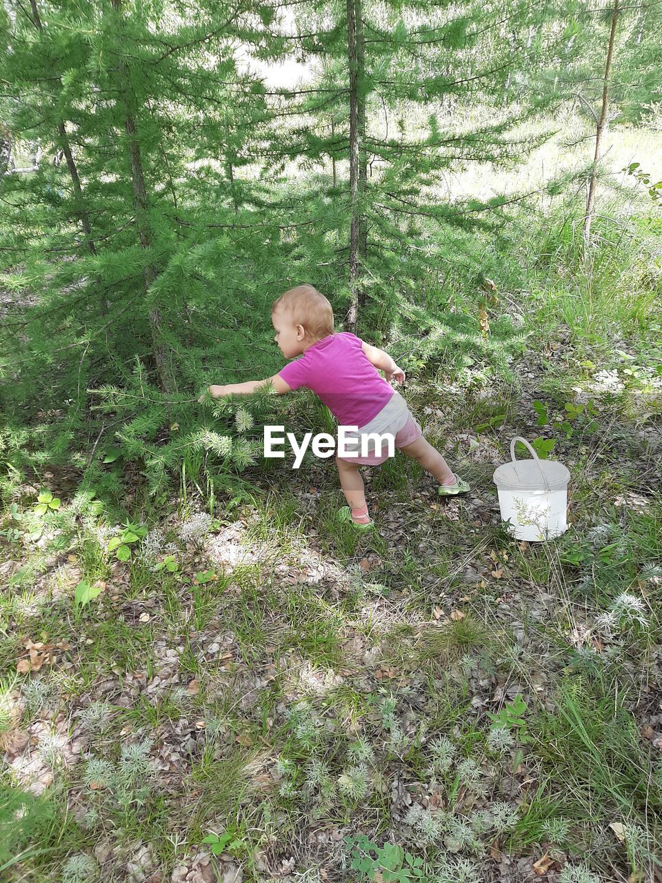 Rear view of girl by tree in forest