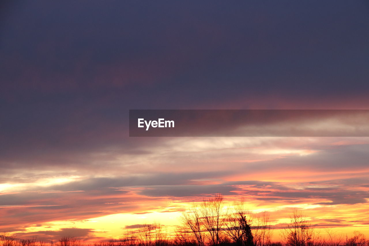 LOW ANGLE VIEW OF SILHOUETTE TREES AGAINST SKY DURING SUNSET