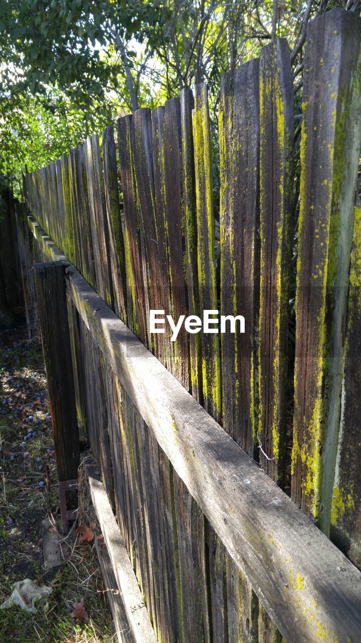 Close-up of wooden fence at backyard
