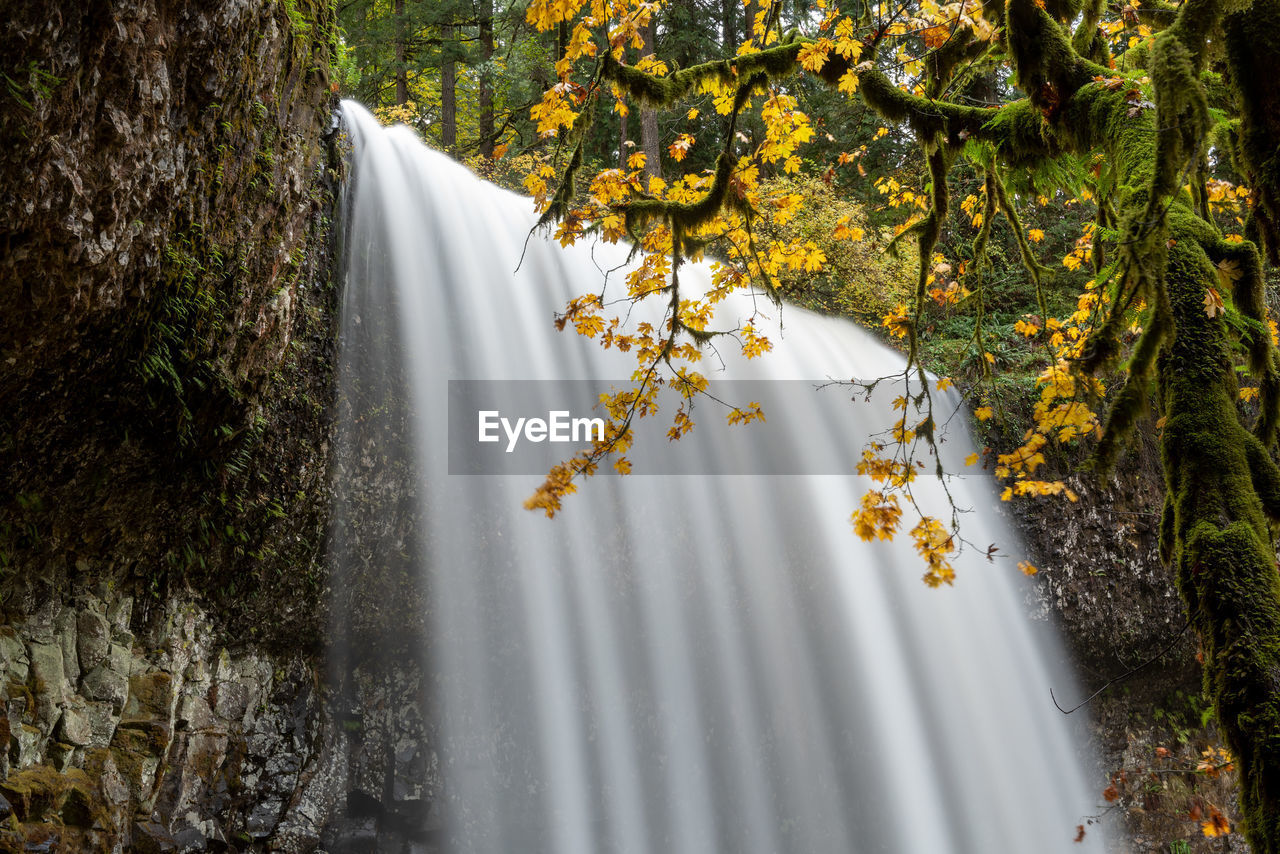 SCENIC VIEW OF WATERFALL