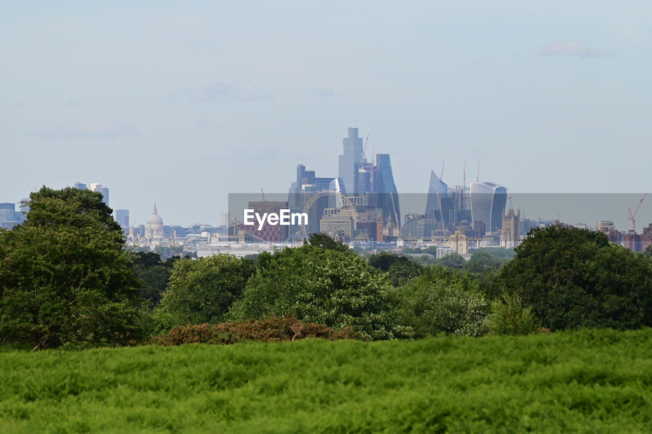 scenic view of field against clear sky