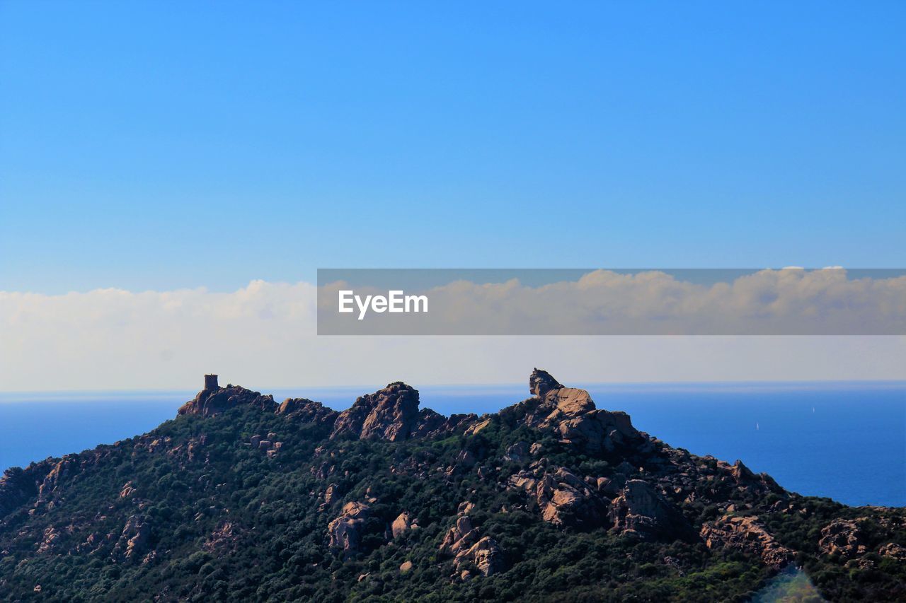 Bird perching on rock by sea against sky