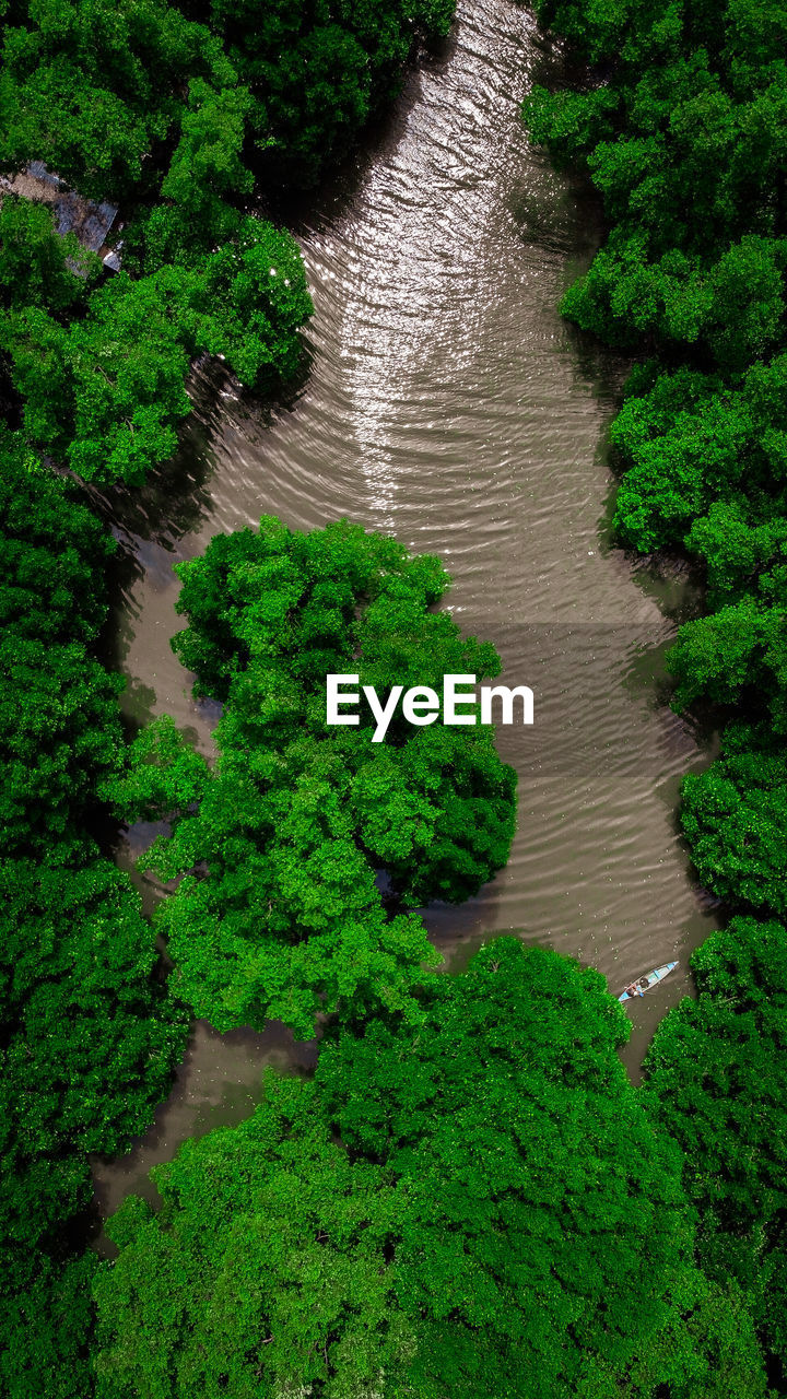 HIGH ANGLE VIEW OF RIVER FLOWING IN FOREST