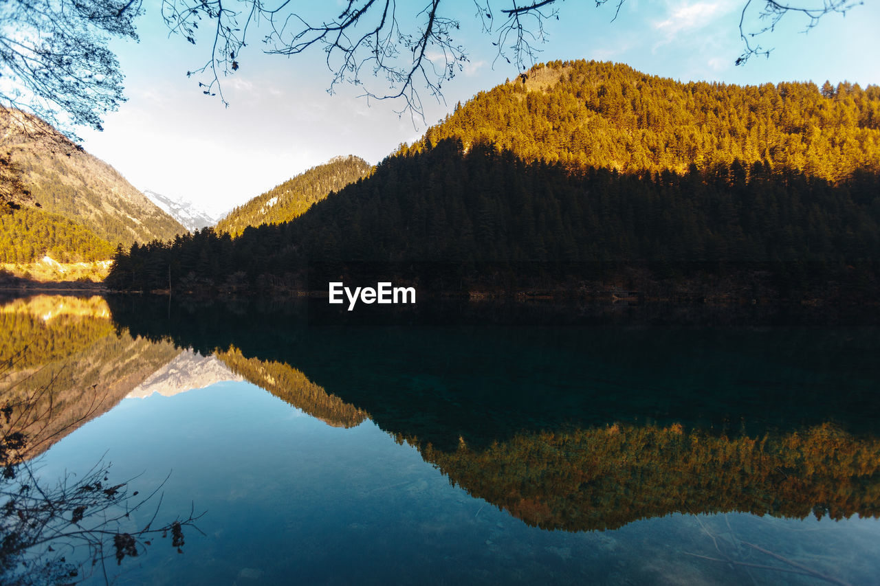 SCENIC VIEW OF LAKE AND TREES AGAINST SKY