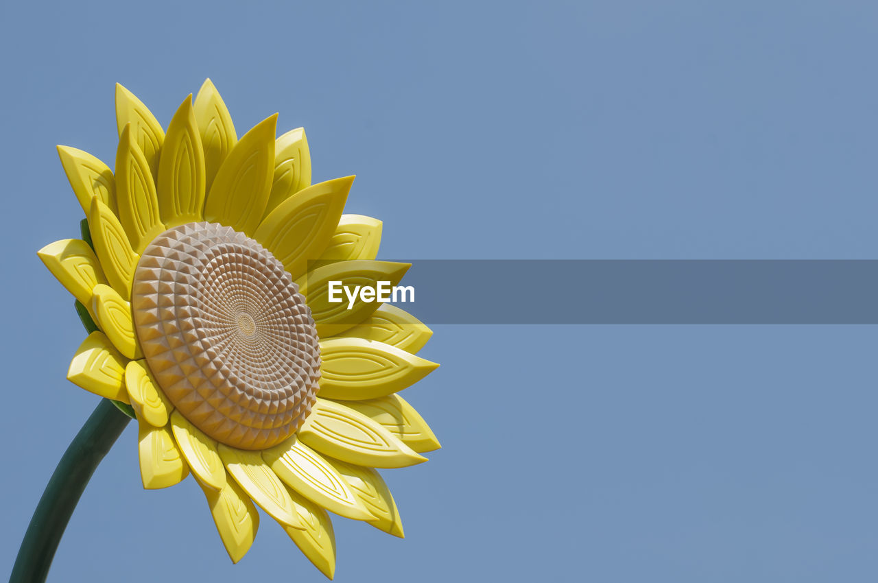 Low angle view of yellow flower against clear blue sky