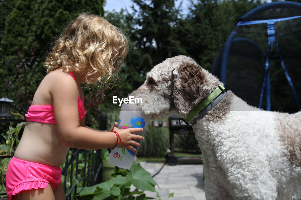 Young girl feeding dog water from cup in summer in suburbia