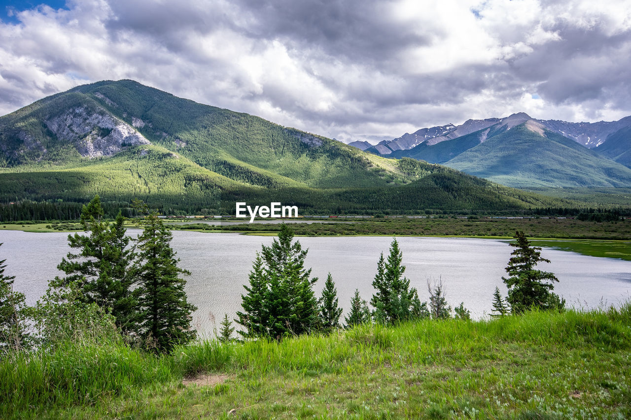 Summer scenic view with grass, trees, lake, train, mountains, cloudy blue sky background