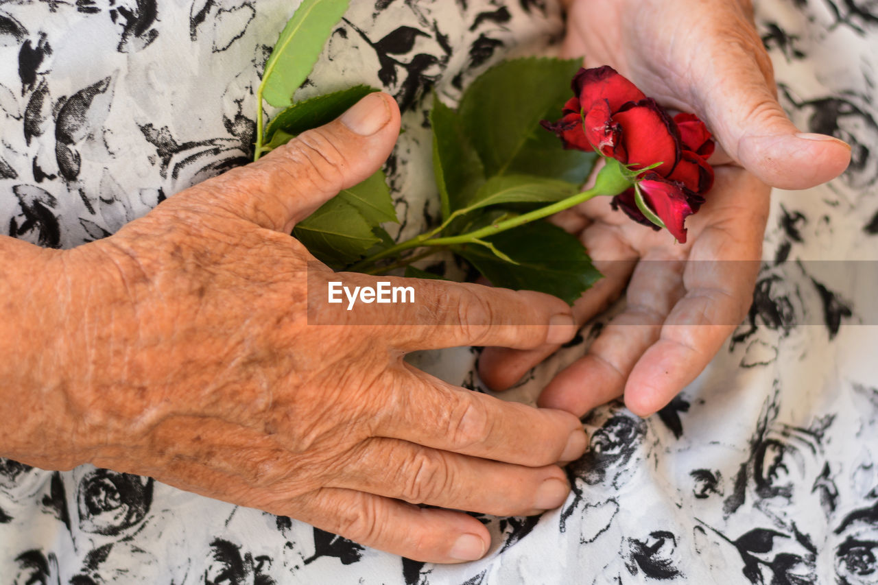 HIGH ANGLE VIEW OF MAN HOLDING FLOWER