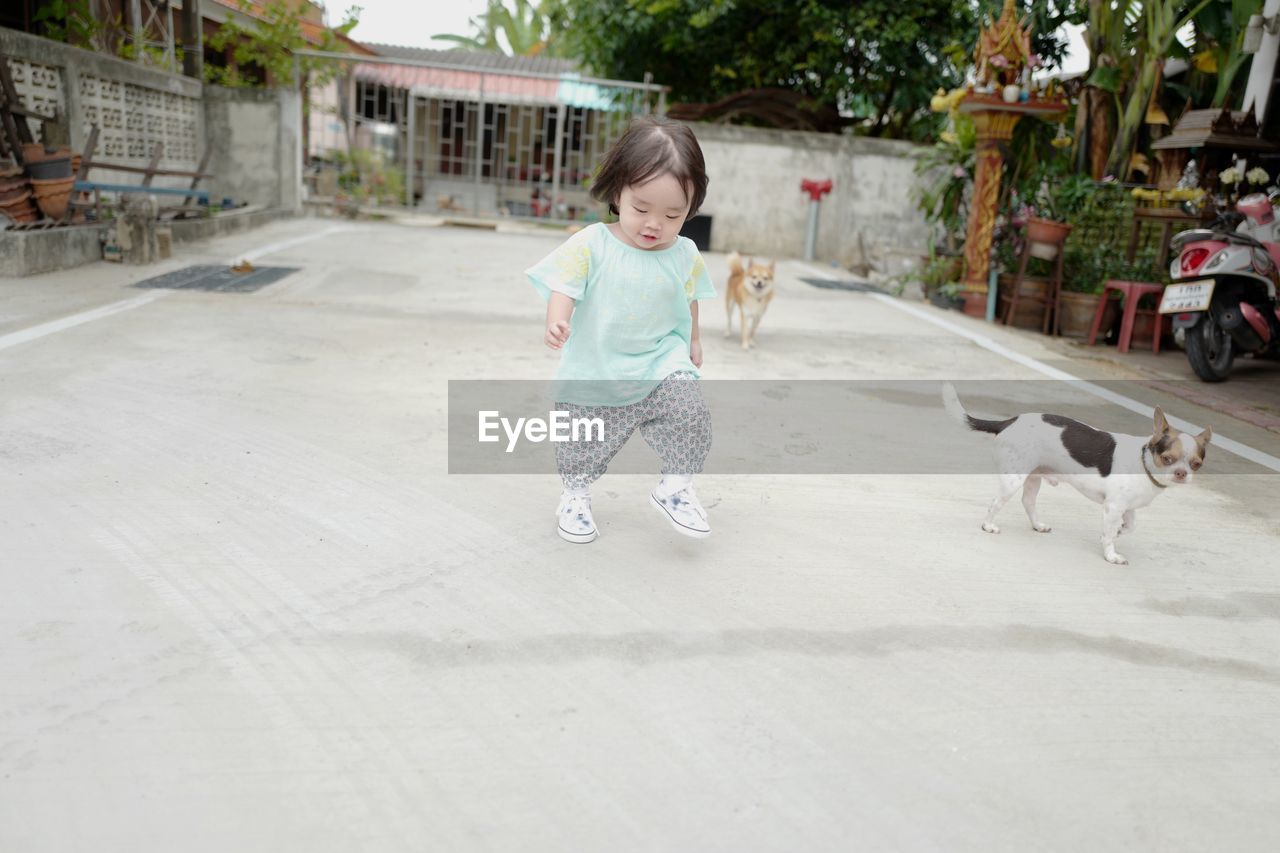 Cute baby girl stamping foot on footpath with dogs in background