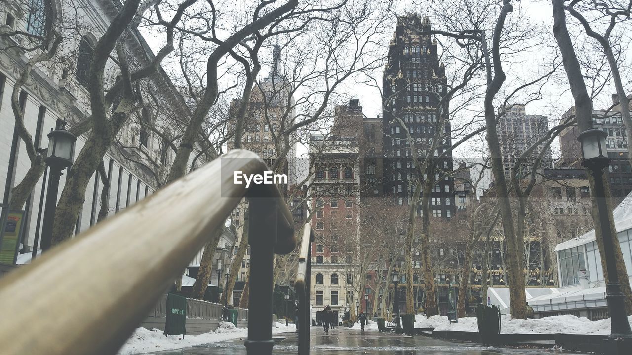 Low angle view of buildings and trees in city during winter