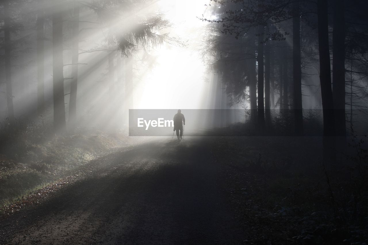 Silhouette man walking on field by trees in forest