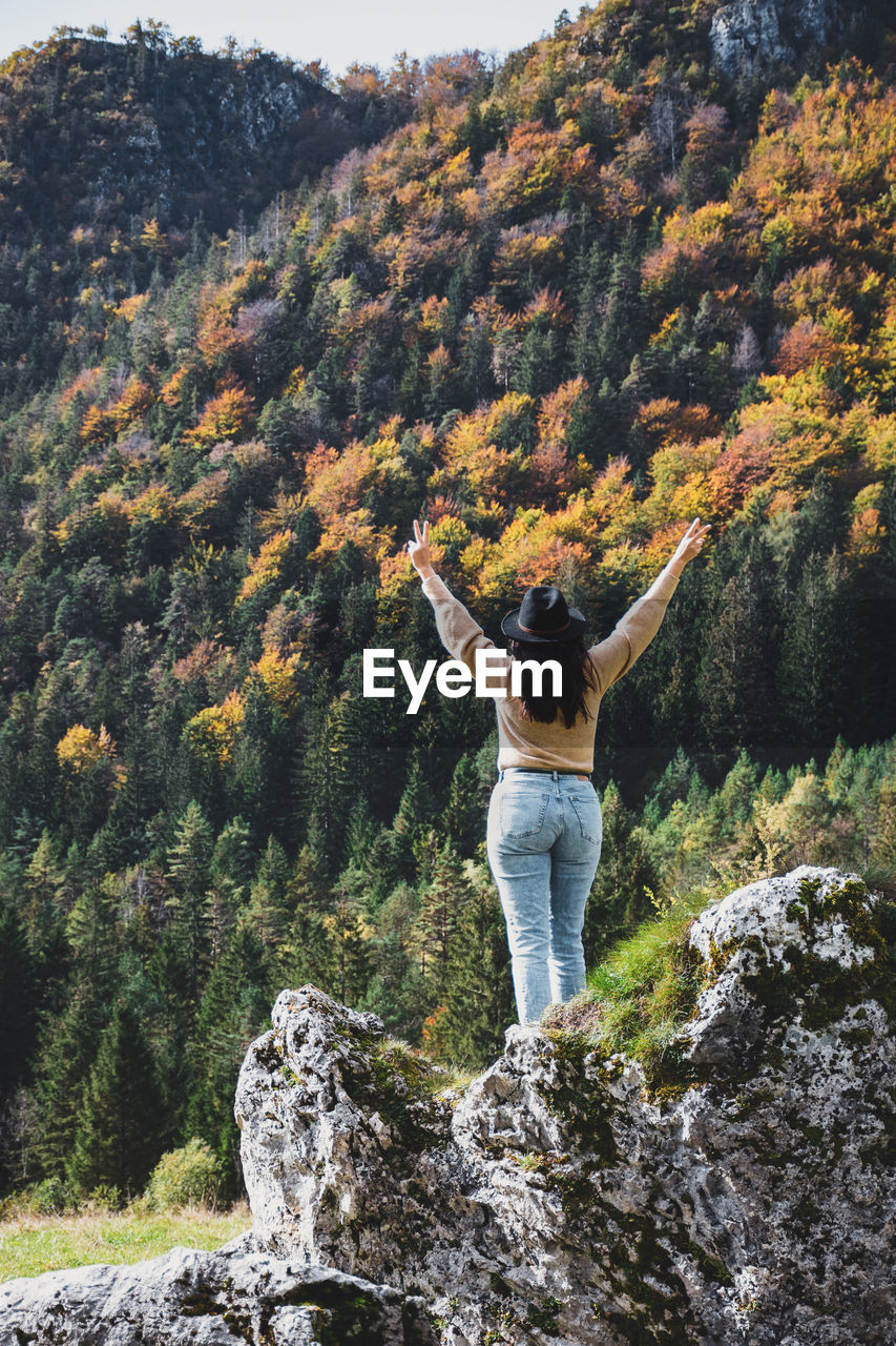 Rear view of young woman with outstretched arms, nature, autumn fall.