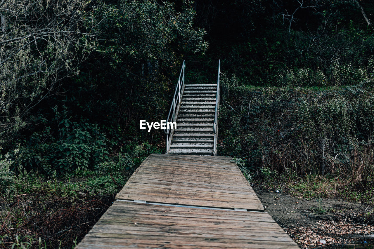 WOODEN BRIDGE IN FOREST