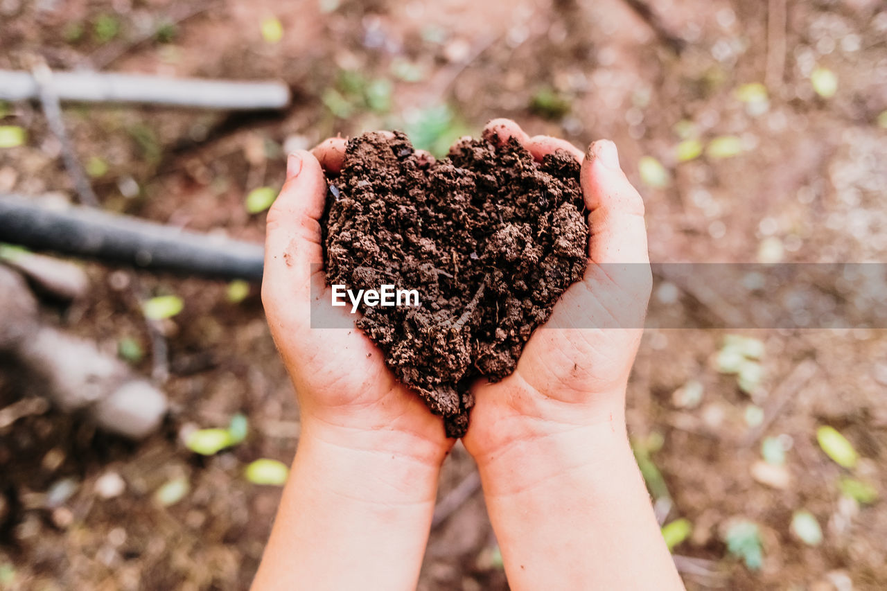 CLOSE-UP OF HAND HOLDING COCONUT