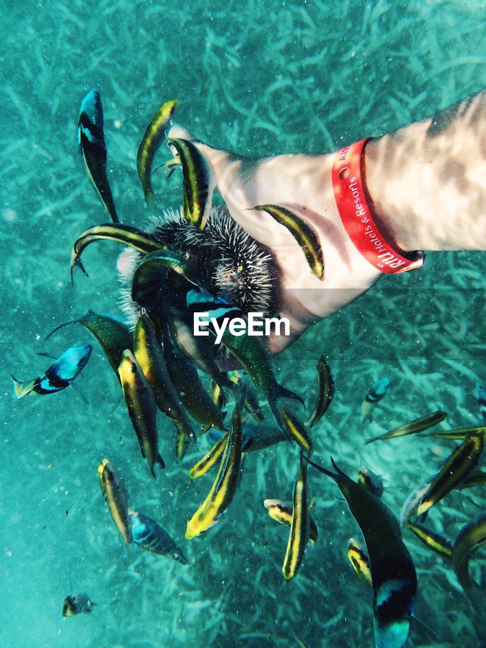 MIDSECTION OF PERSON SWIMMING IN SEA