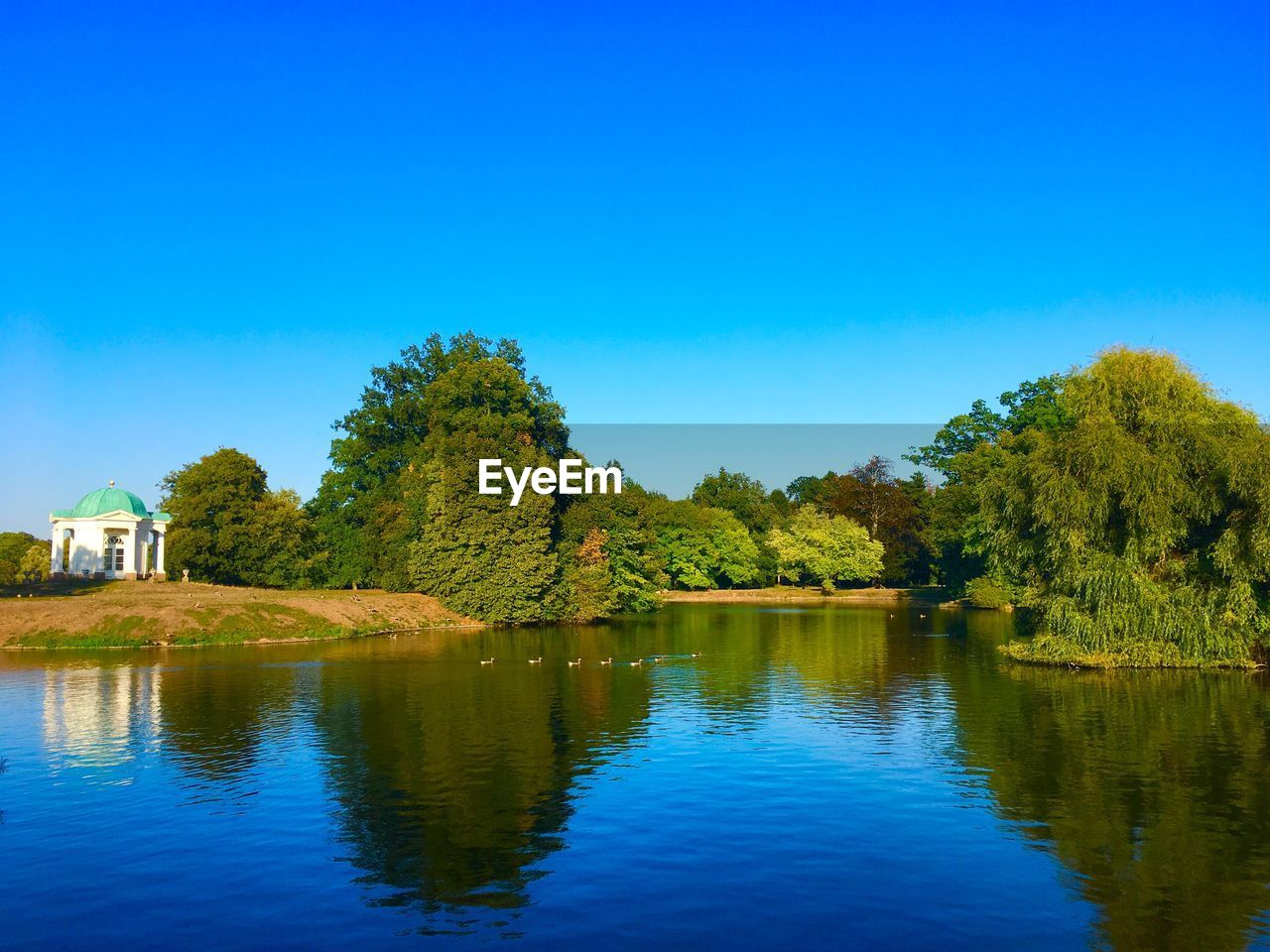 TREES BY LAKE AGAINST BLUE SKY