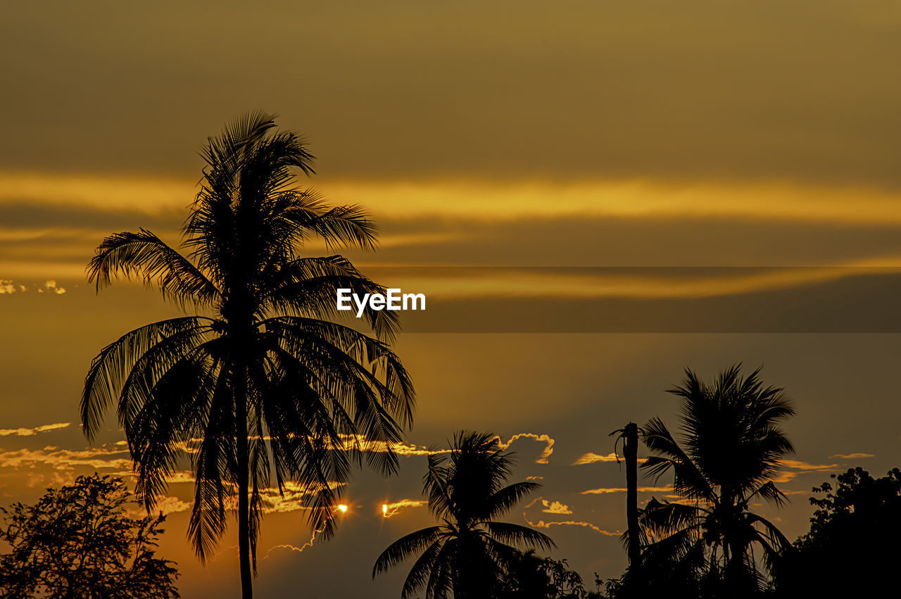 Silhouette palm trees against sky during sunset