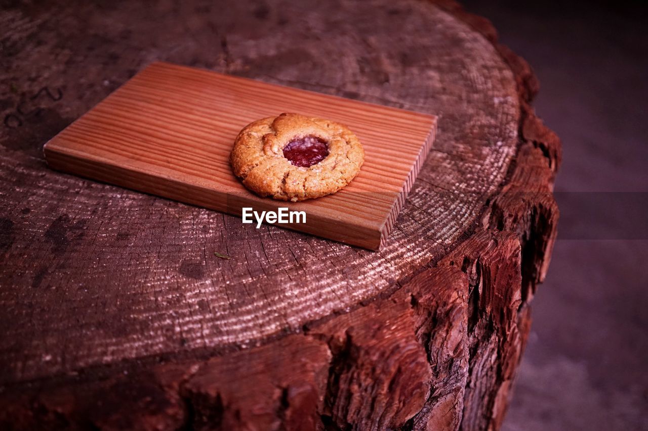 High angle view of cookie on tree stump