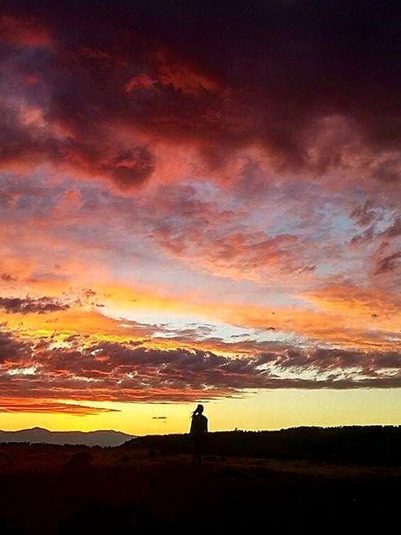 SILHOUETTE OF LANDSCAPE AT SUNSET