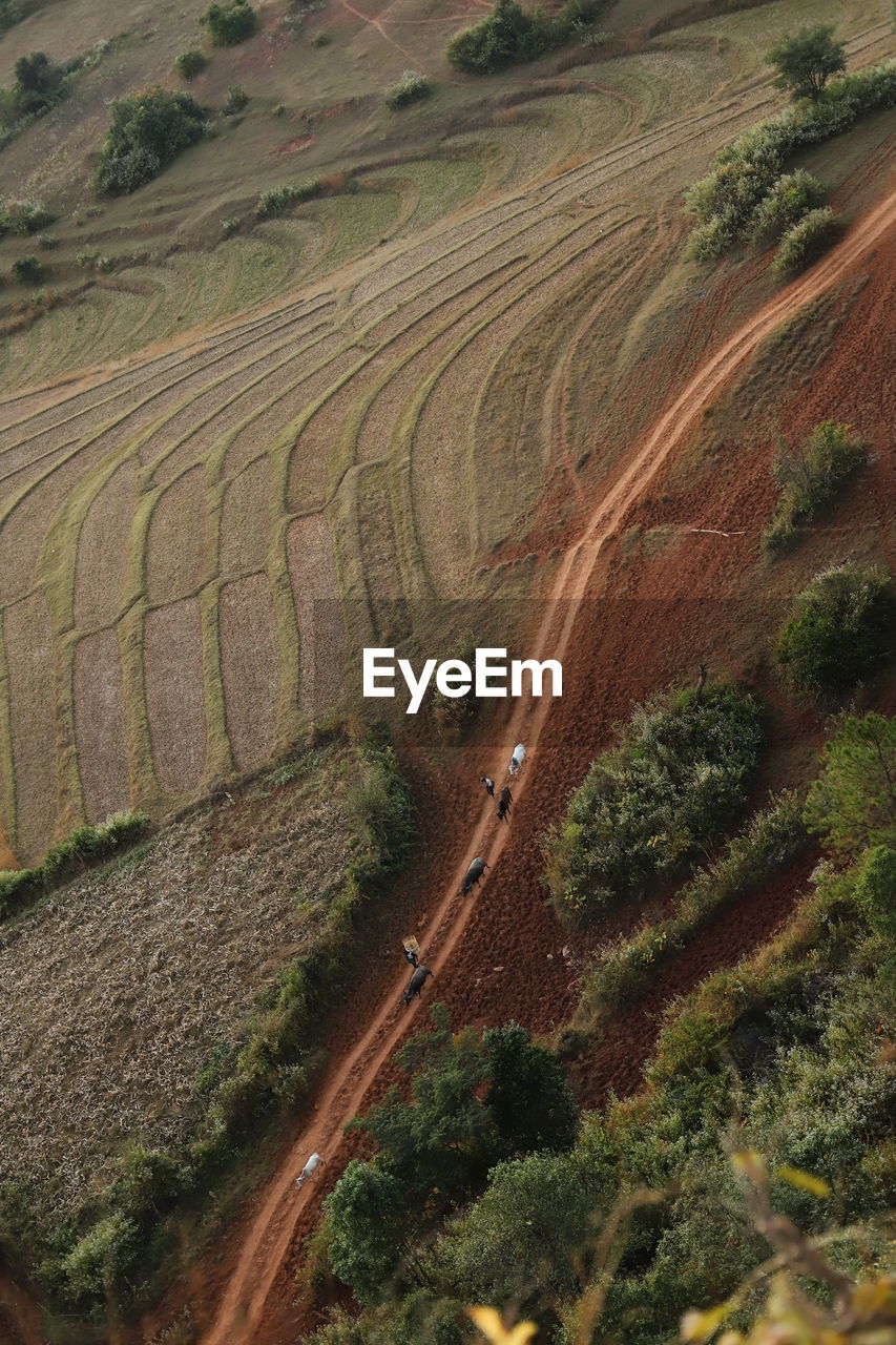 HIGH ANGLE VIEW OF ROAD ON LANDSCAPE