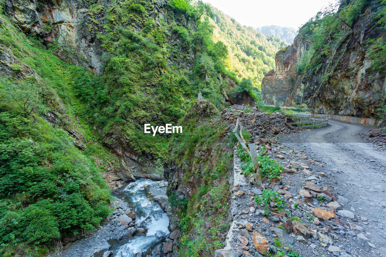 STREAM AMIDST ROCKS IN FOREST