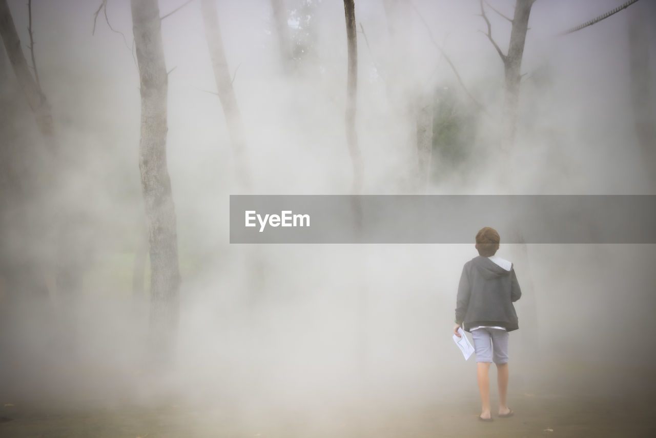 Rear view of boy walking in forest