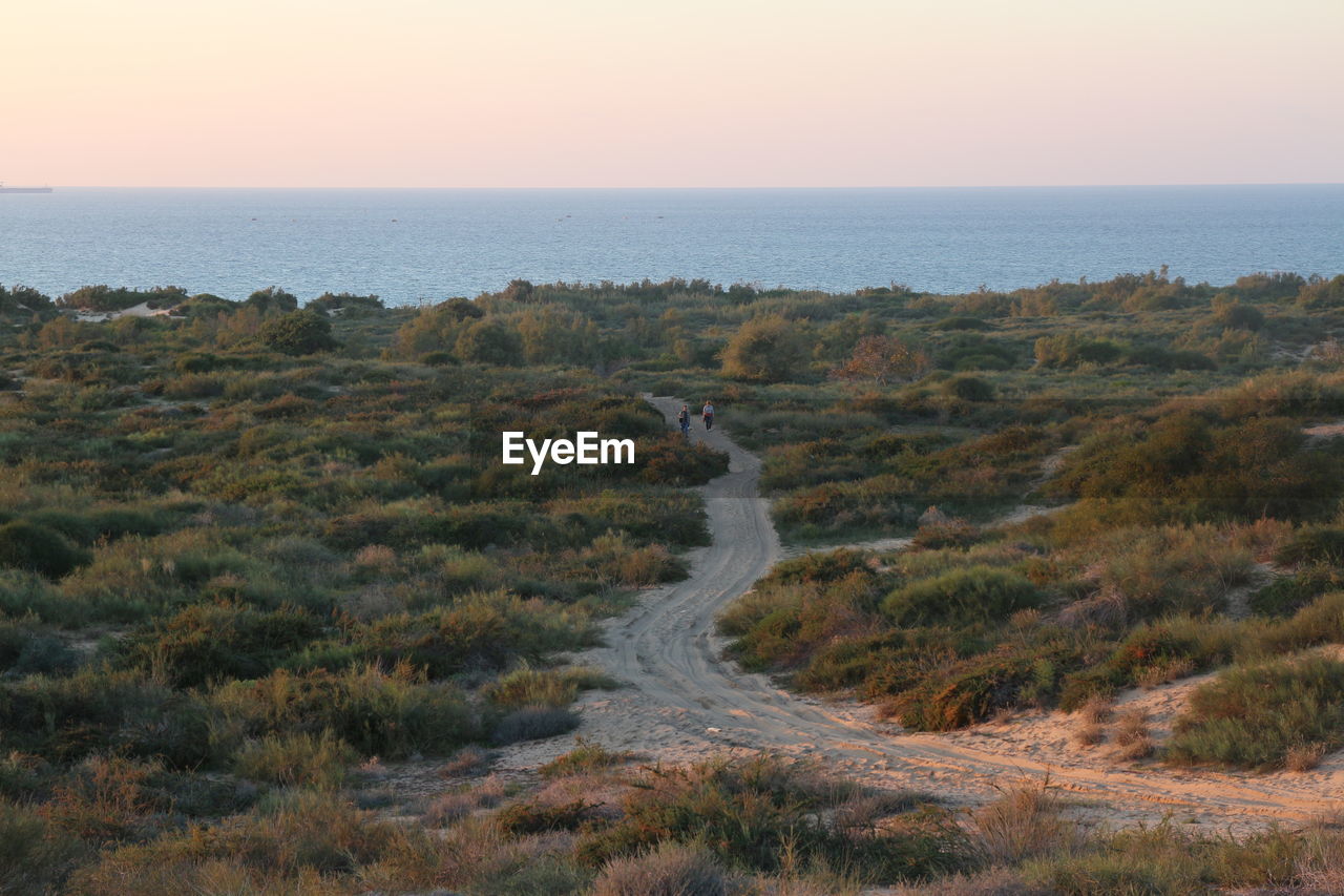 Scenic view of sea and field against clear sky during sunset