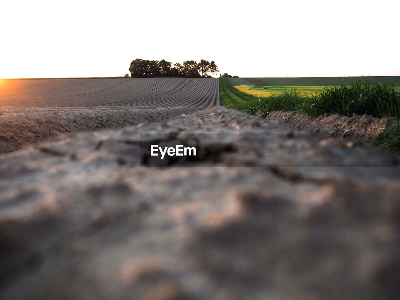 Surface level of land against clear sky