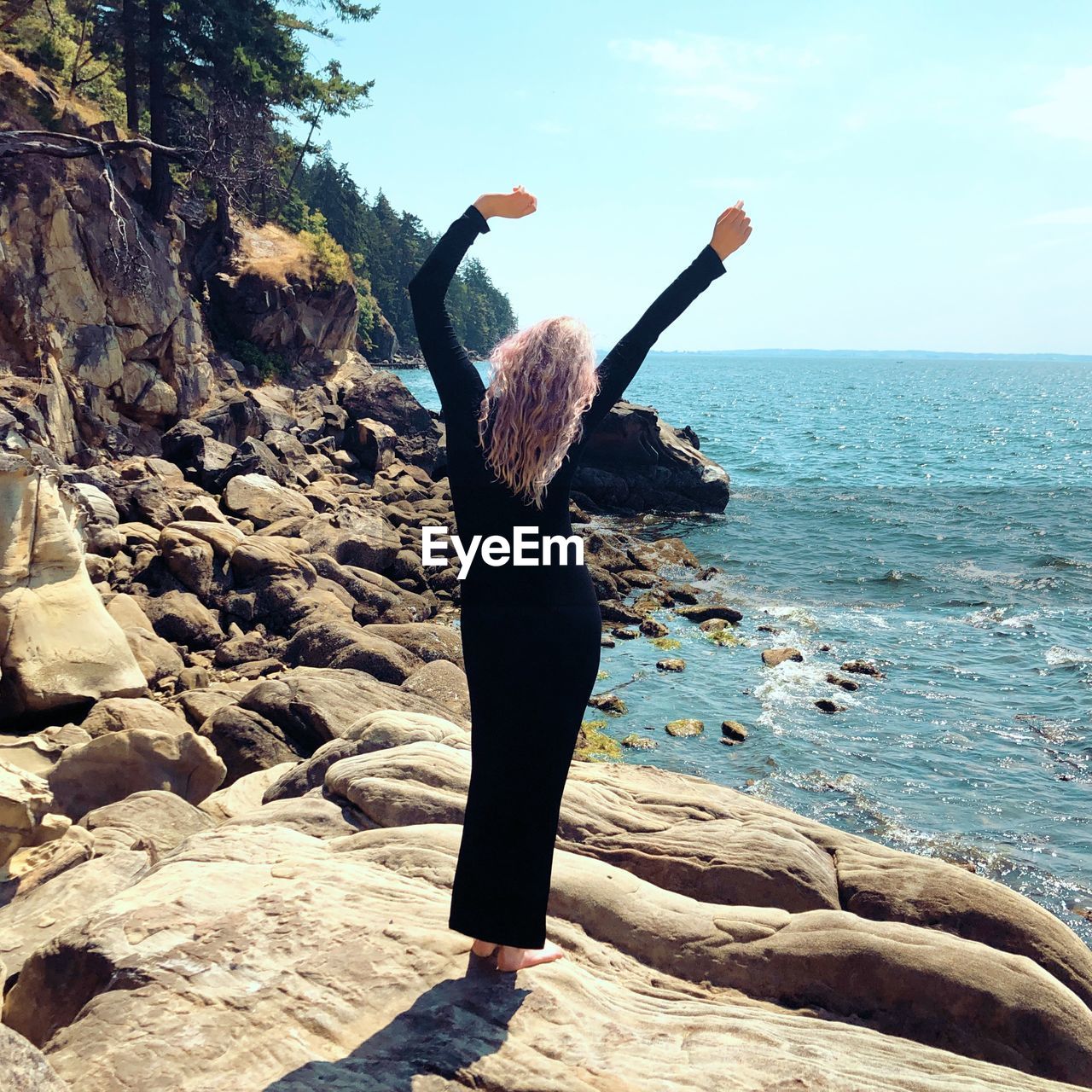 Rear view of man on rock at sea shore against sky