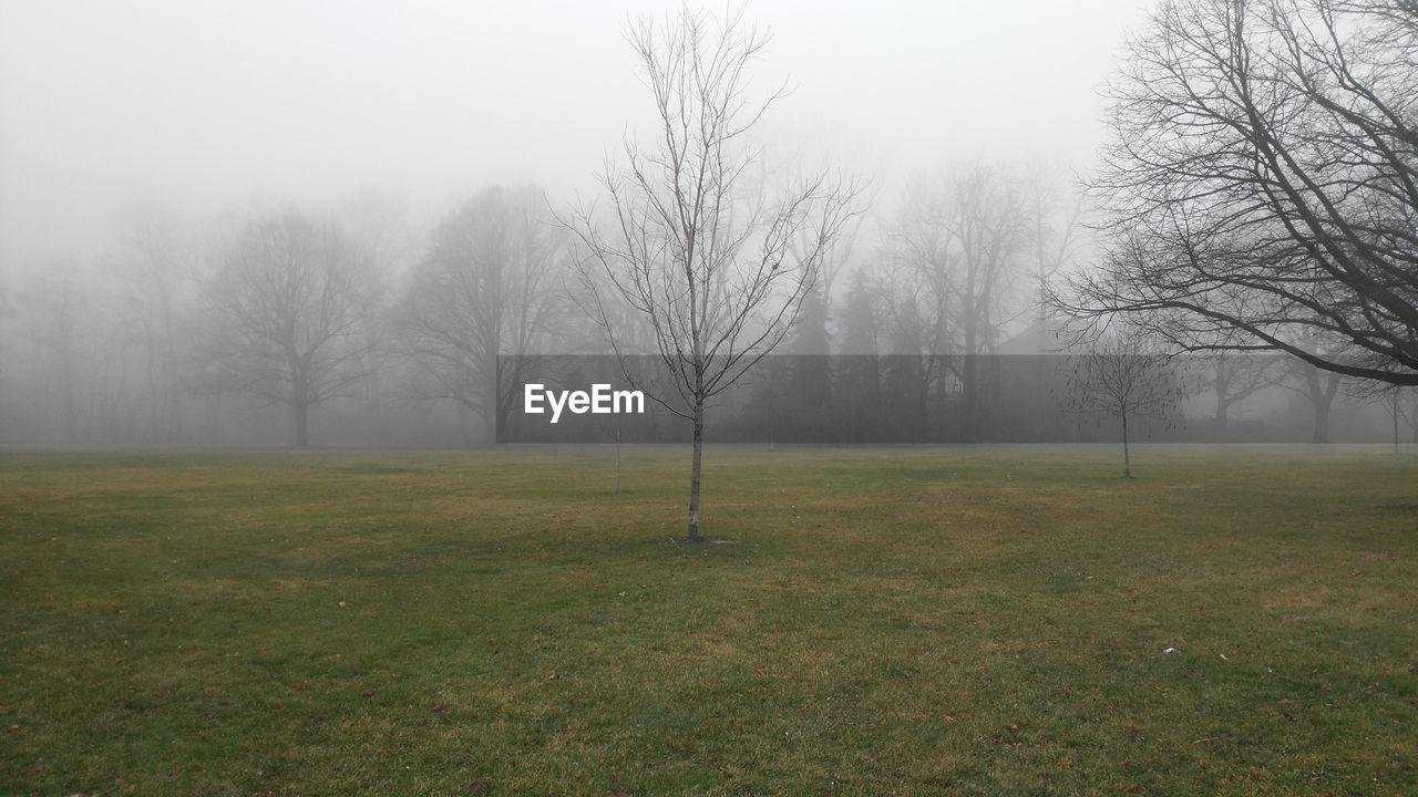 Scenic view of field in foggy weather