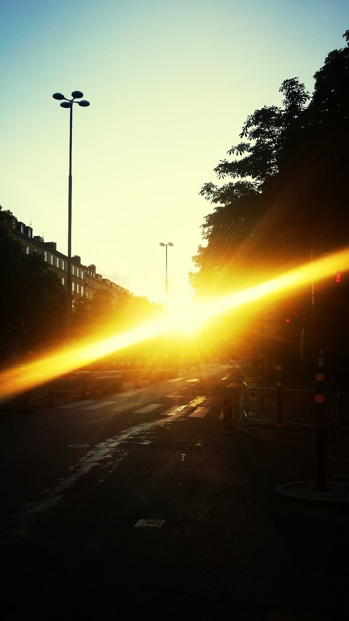 SUN SHINING THROUGH TREES AT SUNSET