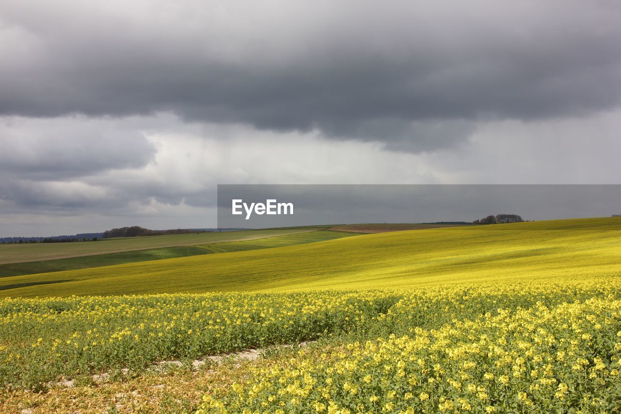 Scenic view of field against cloudy sky