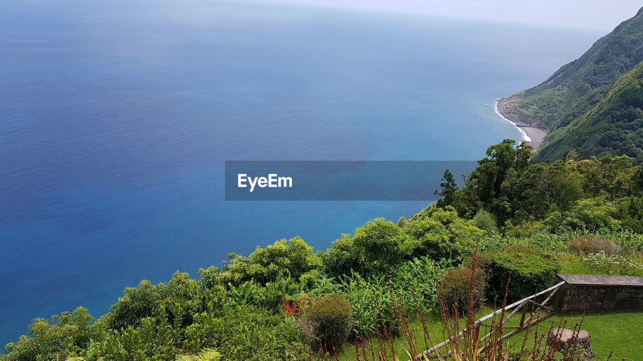 HIGH ANGLE VIEW OF TREES AND SEA AGAINST BLUE SKY