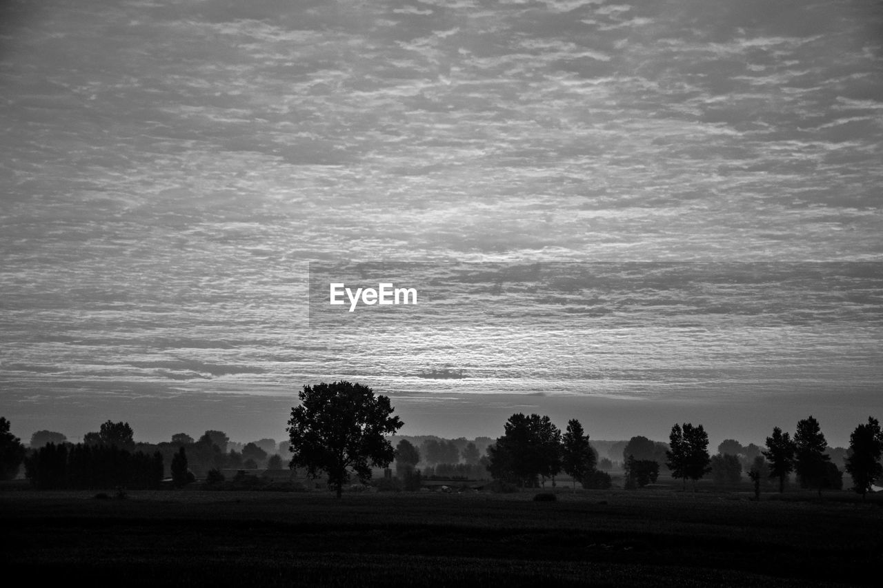 SCENIC VIEW OF SILHOUETTE TREES ON FIELD AGAINST SKY