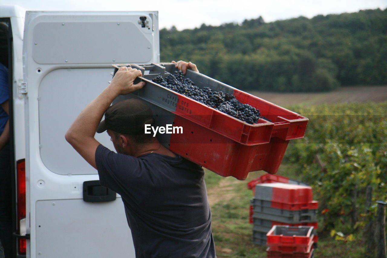 Man carrying basket