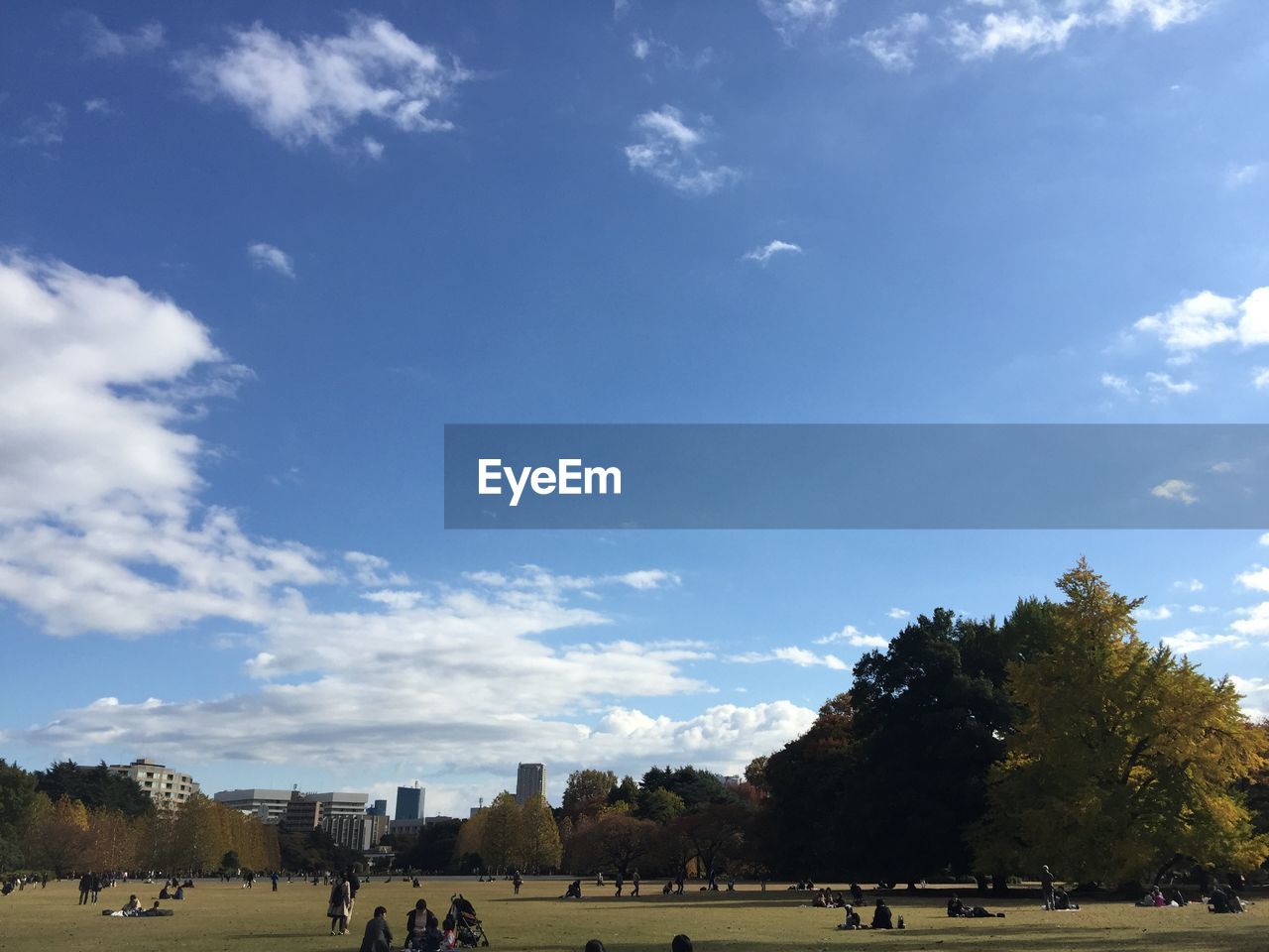 PANORAMIC VIEW OF PARK AGAINST SKY