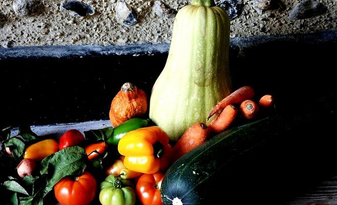 CLOSE-UP OF FOOD ON TABLE