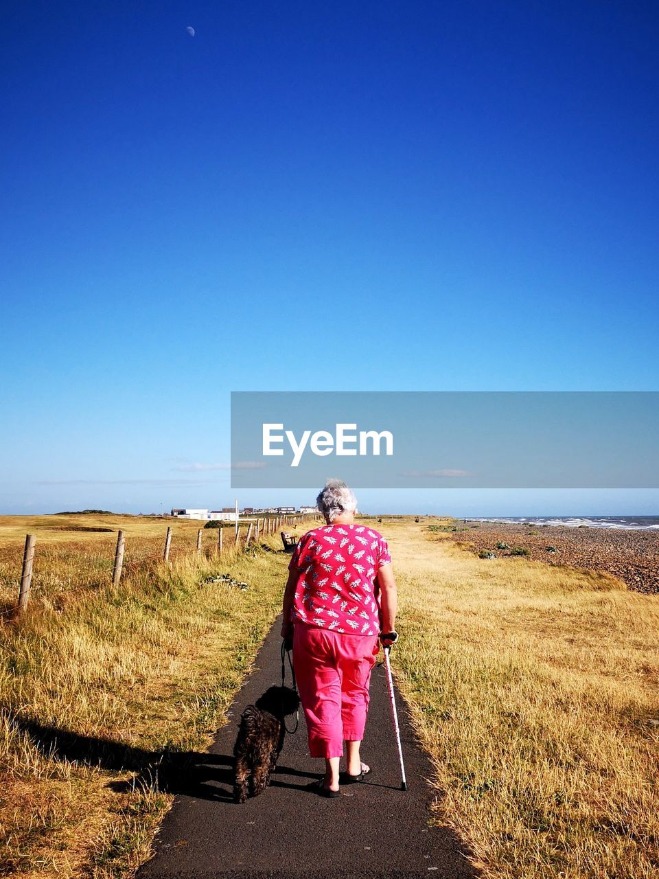 Full length rear view of woman with dog walking on road against clear sky during sunny day