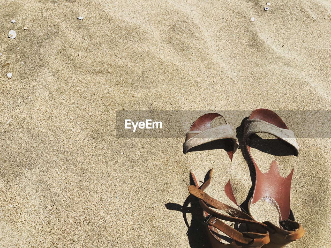 HIGH ANGLE VIEW OF LEAF ON SAND