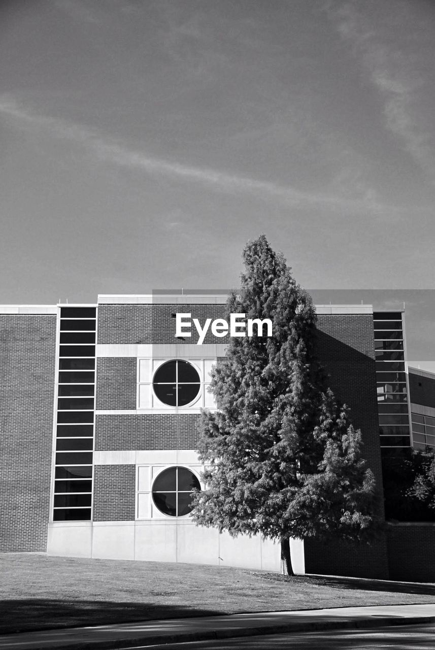 Low angle view of tree and building against sky