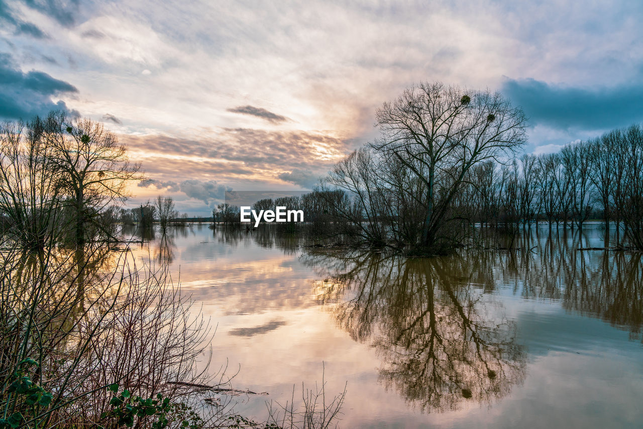 Flood on the rhine, germany.