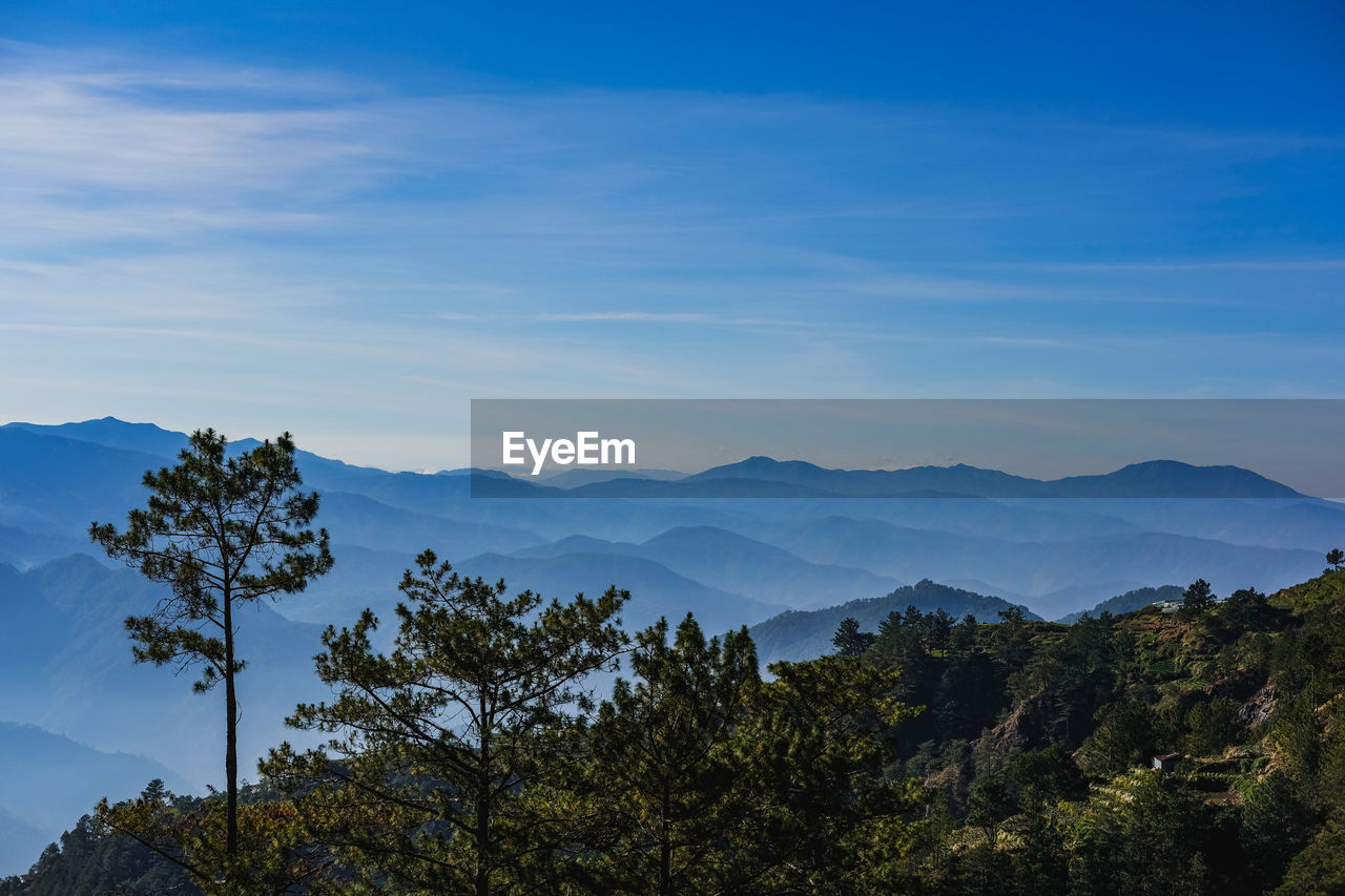 mountain, sky, scenics - nature, environment, nature, landscape, tree, beauty in nature, mountain range, plant, cloud, land, wilderness, forest, tranquility, travel, blue, no people, travel destinations, ridge, tranquil scene, outdoors, non-urban scene, pinaceae, pine tree, coniferous tree, tourism, mountain peak, horizon, idyllic, morning, pine woodland, day, fog