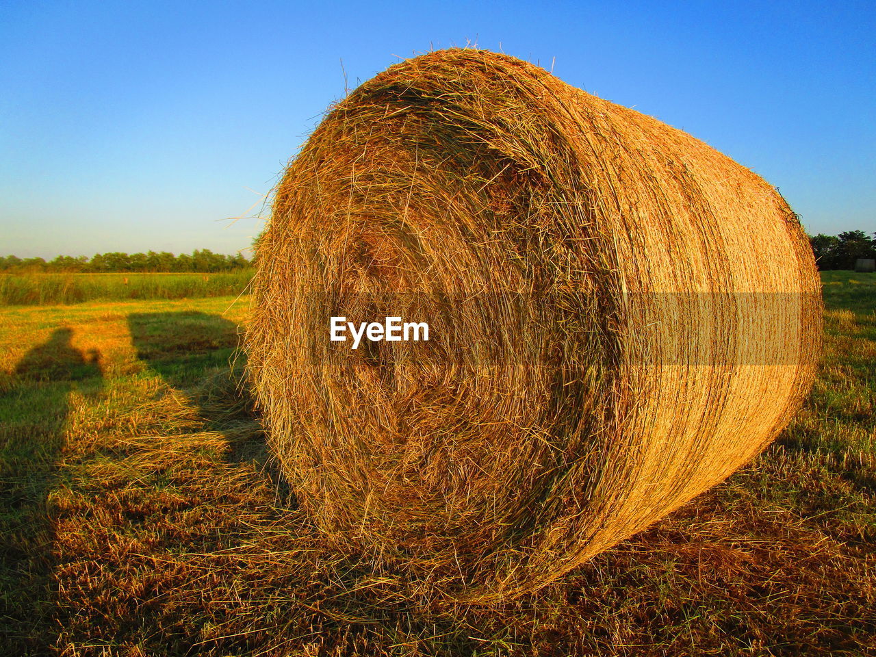 Hay bales on field against sky