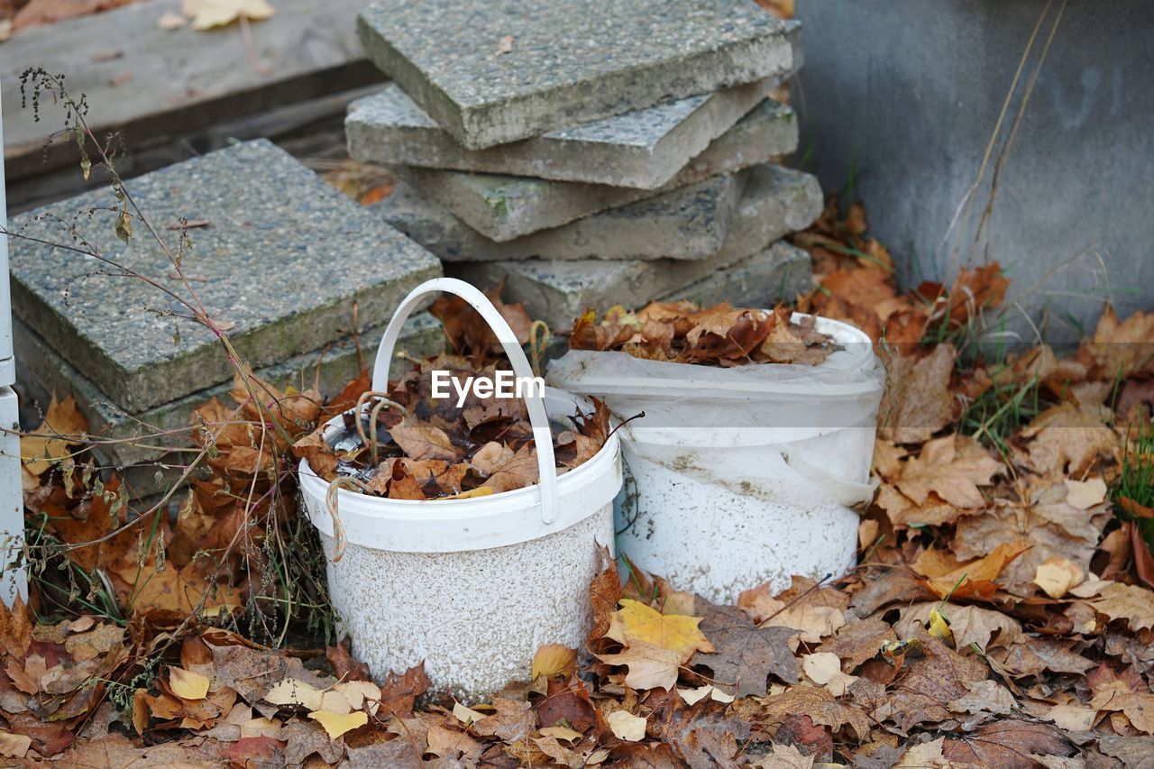 High angle view of dry leaves in  white plastic bucket during autumn 