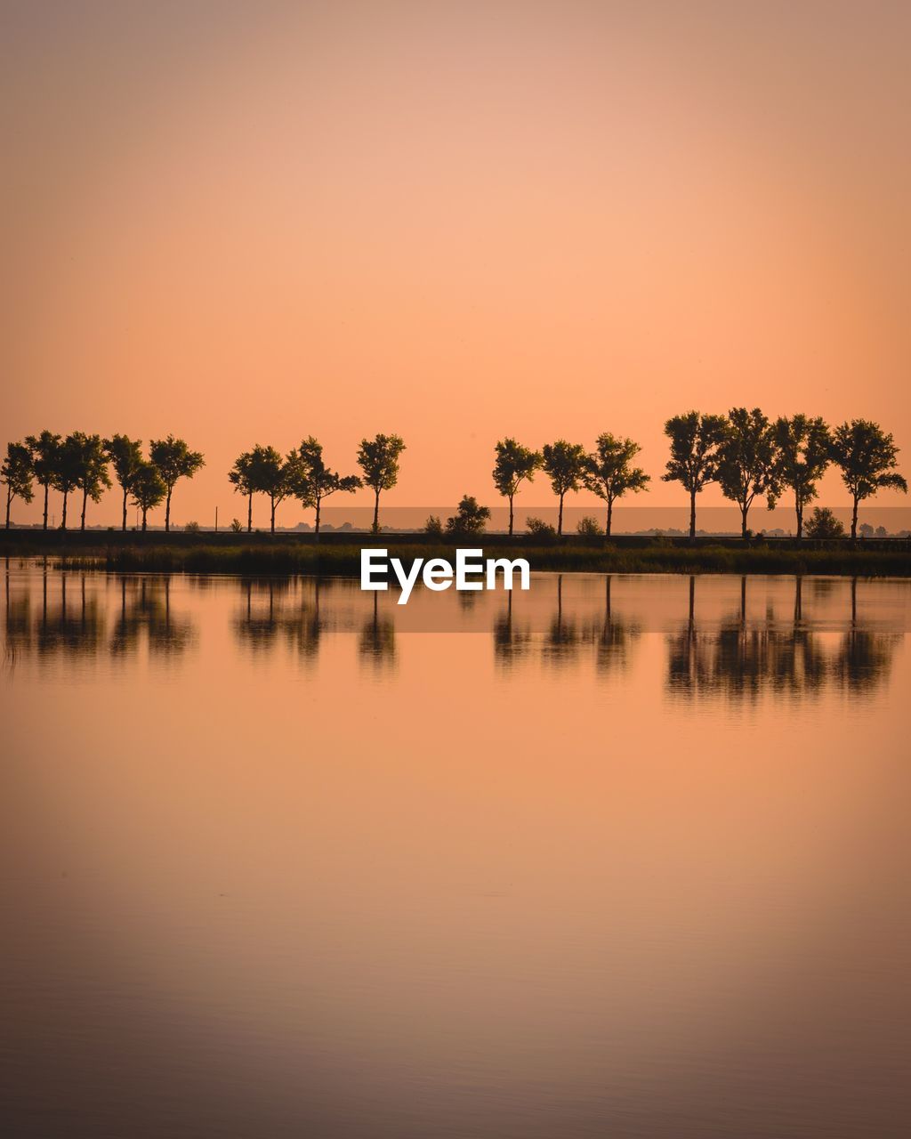Scenic view of lake by palm trees against sky during sunset