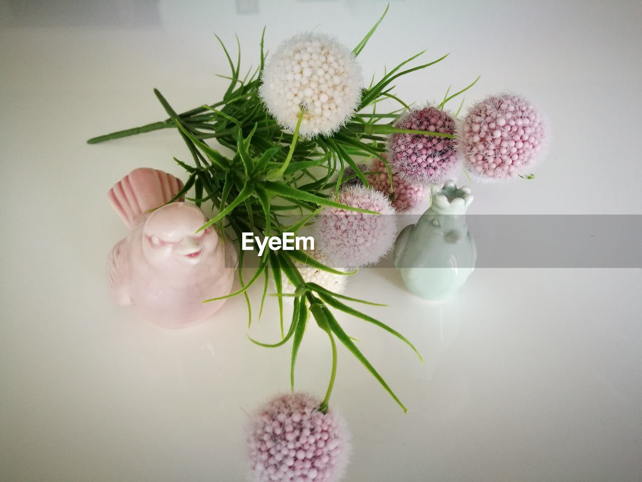 CLOSE-UP OF PINK FLOWERS ON TABLE