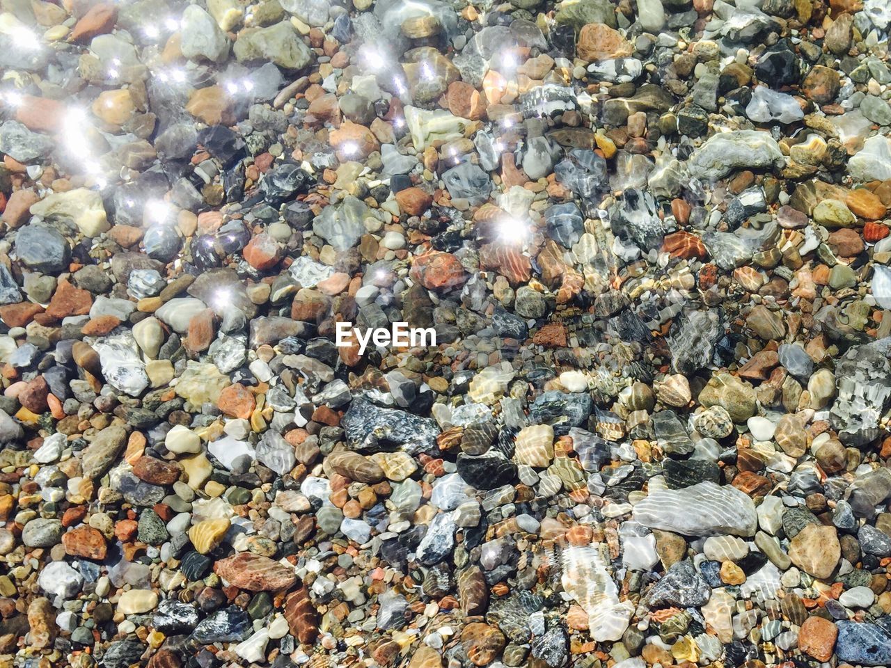 FULL FRAME SHOT OF WATER WITH LEAVES IN BACKGROUND