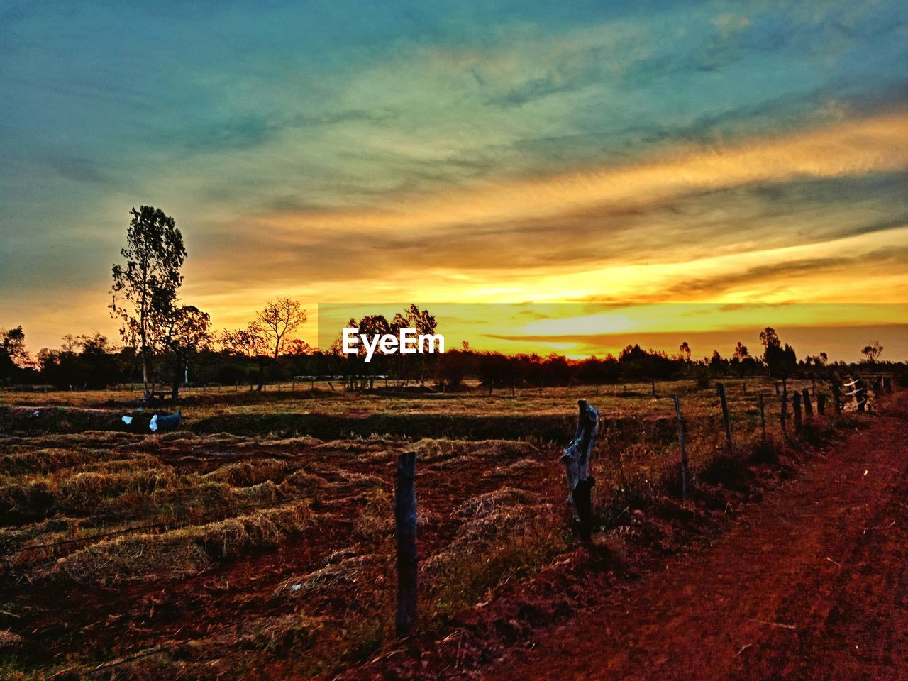 SCENIC VIEW OF FARM AGAINST SKY DURING SUNSET