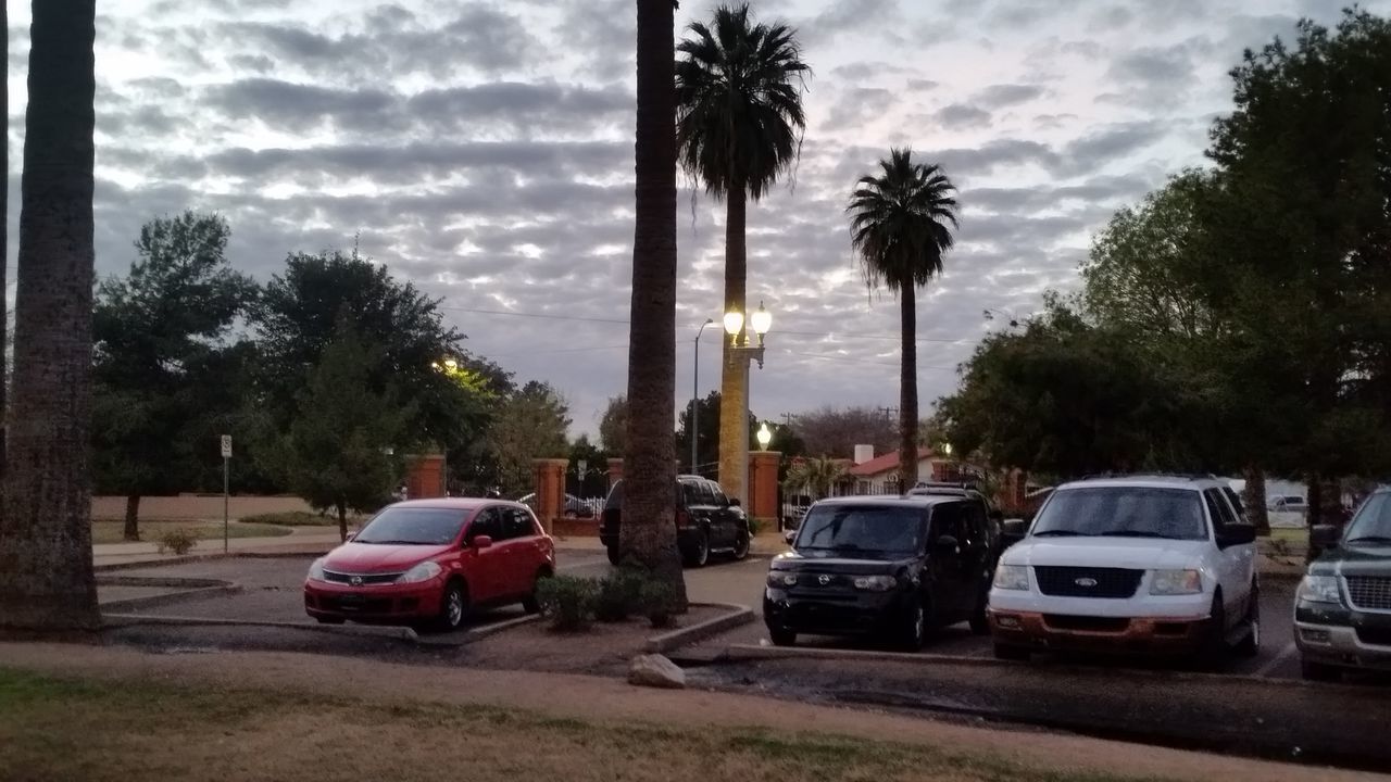 CARS ON STREET IN CITY