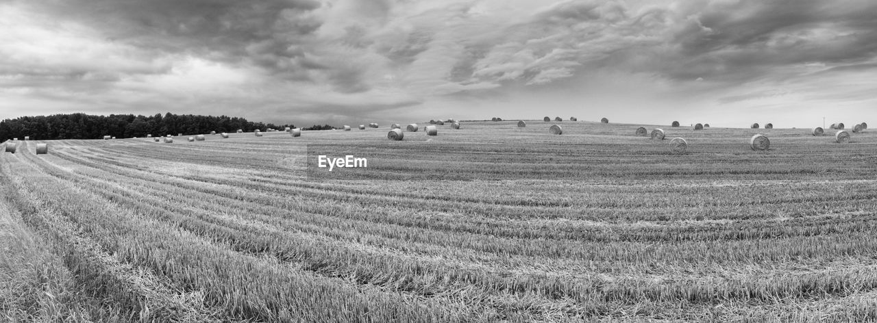 SCENIC VIEW OF FARM AGAINST SKY